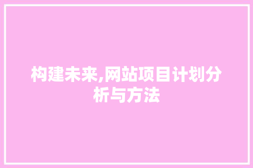 构建未来,网站项目计划分析与方法 构建未来,网站项目计划分析与方法 网站建设公司