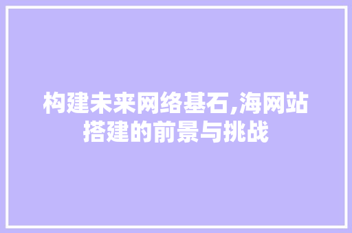 构建未来网络基石,海网站搭建的前景与挑战 构建未来网络基石,海网站搭建的前景与挑战 百度SEO