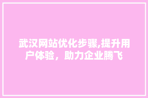 武汉网站优化步骤,提升用户体验，助力企业腾飞 武汉网站优化步骤,提升用户体验，助力企业腾飞 SEO关键词
