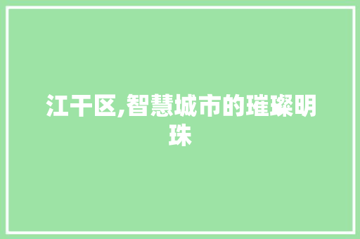 江干区,智慧城市的璀璨明珠 江干区,智慧城市的璀璨明珠 网站建设公司