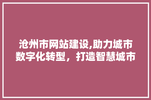 沧州市网站建设,助力城市数字化转型，打造智慧城市新引擎 沧州市网站建设,助力城市数字化转型，打造智慧城市新引擎 百度SEO