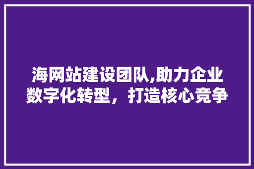 海网站建设团队,助力企业数字化转型，打造核心竞争力 海网站建设团队,助力企业数字化转型，打造核心竞争力 SEO关键词