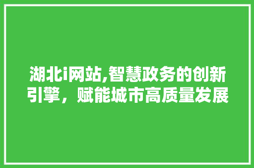 湖北i网站,智慧政务的创新引擎，赋能城市高质量发展