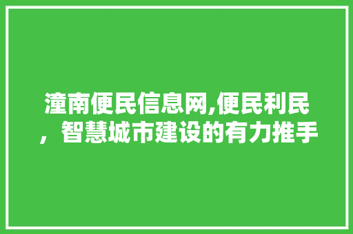 潼南便民信息网,便民利民，智慧城市建设的有力推手