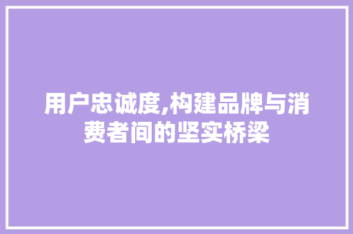 用户忠诚度,构建品牌与消费者间的坚实桥梁