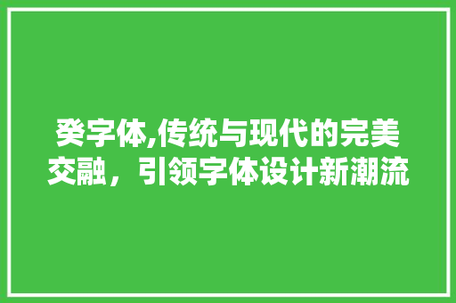 癸字体,传统与现代的完美交融，引领字体设计新潮流 癸字体,传统与现代的完美交融，引领字体设计新潮流 SEO关键词