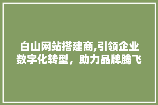 白山网站搭建商,引领企业数字化转型，助力品牌腾飞 白山网站搭建商,引领企业数字化转型，助力品牌腾飞 必应SEO