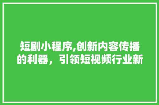 短剧小程序,创新内容传播的利器，引领短视频行业新潮流