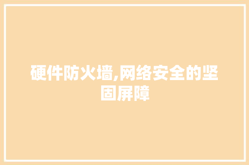 硬件防火墙,网络安全的坚固屏障 硬件防火墙,网络安全的坚固屏障 必应SEO