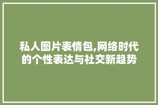 私人图片表情包,网络时代的个性表达与社交新趋势 私人图片表情包,网络时代的个性表达与社交新趋势 必应SEO