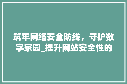 筑牢网络安全防线，守护数字家园_提升网站安全性的探索与方法 筑牢网络安全防线，守护数字家园_提升网站安全性的探索与方法 必应SEO