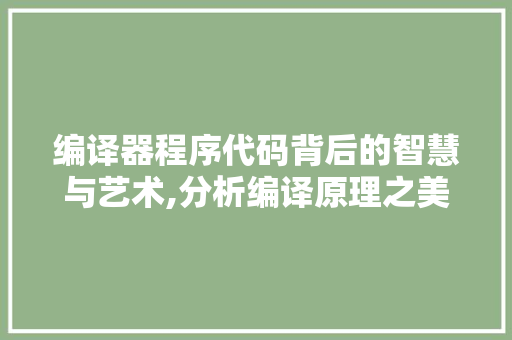编译器程序代码背后的智慧与艺术,分析编译原理之美 编译器程序代码背后的智慧与艺术,分析编译原理之美 神马SEO