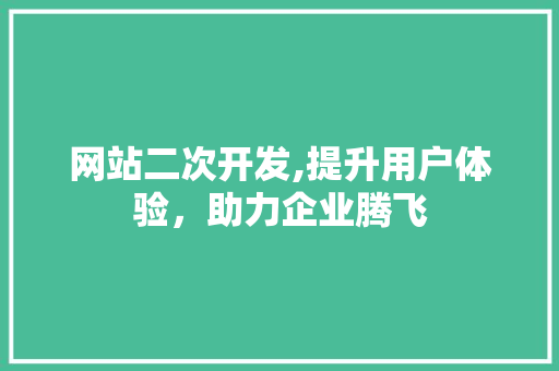 网站二次开发,提升用户体验，助力企业腾飞 网站二次开发,提升用户体验，助力企业腾飞 必应SEO