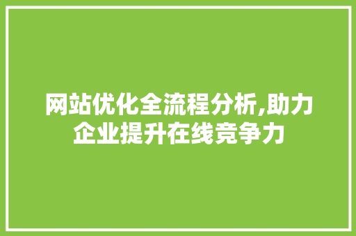 网站优化全流程分析,助力企业提升在线竞争力 网站优化全流程分析,助力企业提升在线竞争力 网站建设公司
