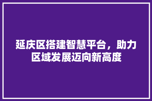 延庆区搭建智慧平台，助力区域发展迈向新高度