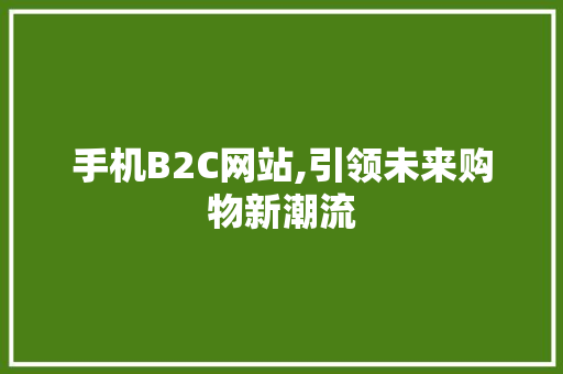 手机B2C网站,引领未来购物新潮流 手机B2C网站,引领未来购物新潮流 神马SEO