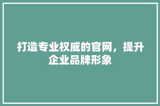 打造专业权威的官网，提升企业品牌形象 打造专业权威的官网，提升企业品牌形象 神马SEO