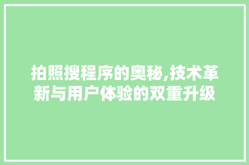 拍照搜程序的奥秘,技术革新与用户体验的双重升级 拍照搜程序的奥秘,技术革新与用户体验的双重升级 搜狗SEO