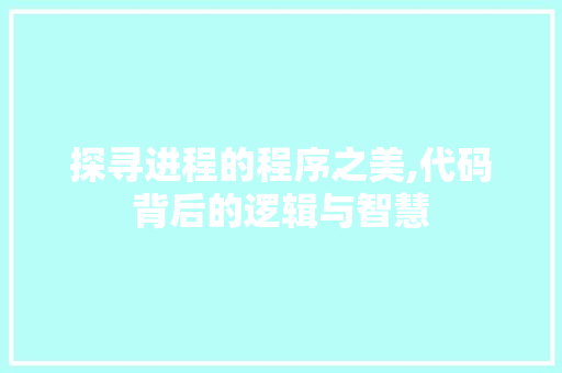 探寻进程的程序之美,代码背后的逻辑与智慧 探寻进程的程序之美,代码背后的逻辑与智慧 SEO关键词