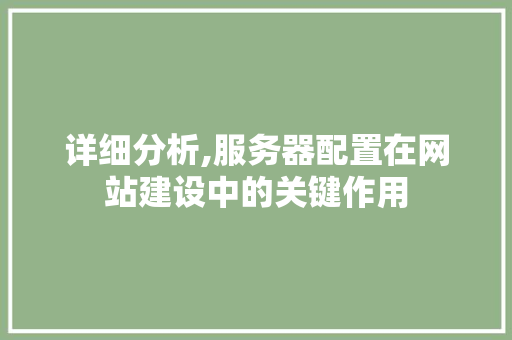 详细分析,服务器配置在网站建设中的关键作用 详细分析,服务器配置在网站建设中的关键作用 神马SEO