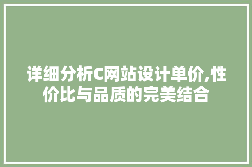 详细分析C网站设计单价,性价比与品质的完美结合