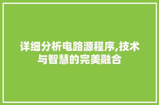 详细分析电路源程序,技术与智慧的完美融合 详细分析电路源程序,技术与智慧的完美融合 必应SEO