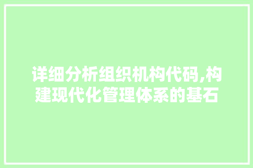 详细分析组织机构代码,构建现代化管理体系的基石 详细分析组织机构代码,构建现代化管理体系的基石 必应SEO