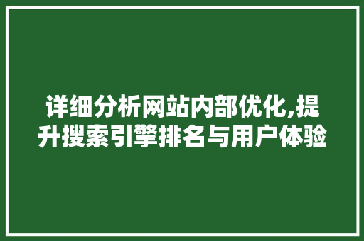 详细分析网站内部优化,提升搜索引擎排名与用户体验的双重步骤 详细分析网站内部优化,提升搜索引擎排名与用户体验的双重步骤 网站建设公司