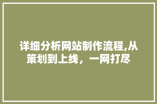详细分析网站制作流程,从策划到上线，一网打尽 详细分析网站制作流程,从策划到上线，一网打尽 百度SEO