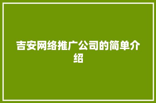 吉安网络推广公司的简单介绍