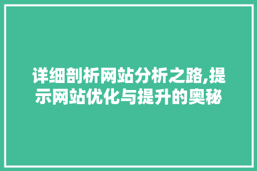 详细剖析网站分析之路,提示网站优化与提升的奥秘 详细剖析网站分析之路,提示网站优化与提升的奥秘 必应SEO