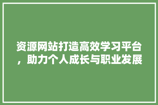 资源网站打造高效学习平台，助力个人成长与职业发展