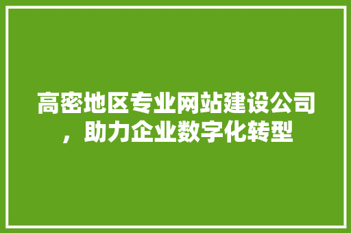 高密地区专业网站建设公司，助力企业数字化转型 高密地区专业网站建设公司，助力企业数字化转型 SEO关键词