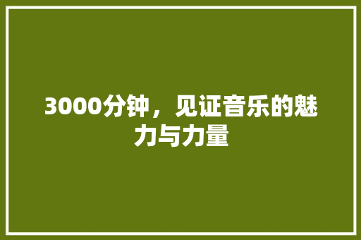 3000分钟，见证音乐的魅力与力量 3000分钟，见证音乐的魅力与力量 必应SEO