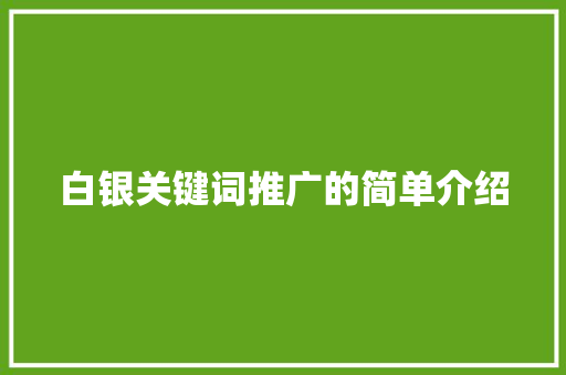 白银关键词推广的简单介绍 白银关键词推广的简单介绍 SEO关键词