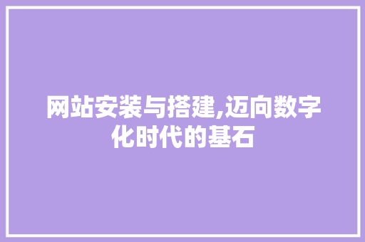 网站安装与搭建,迈向数字化时代的基石 网站安装与搭建,迈向数字化时代的基石 百度SEO