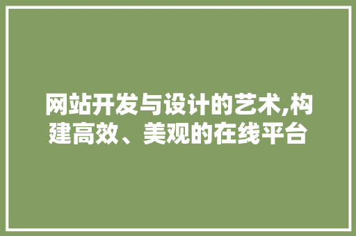 网站开发与设计的艺术,构建高效、美观的在线平台 网站开发与设计的艺术,构建高效、美观的在线平台 百度SEO