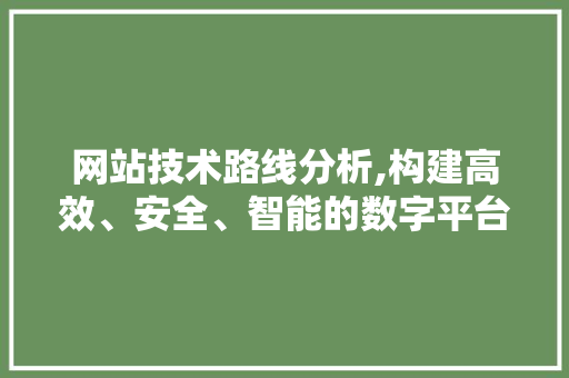 网站技术路线分析,构建高效、安全、智能的数字平台 网站技术路线分析,构建高效、安全、智能的数字平台 搜狗SEO
