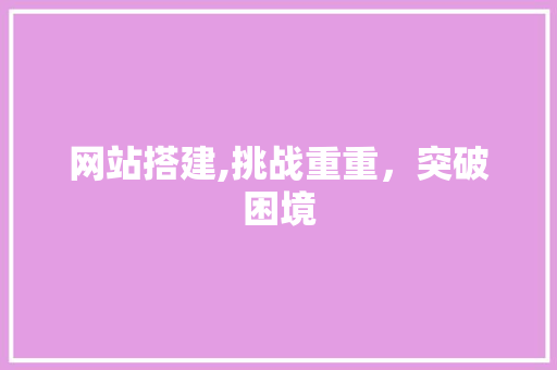 网站搭建,挑战重重,突破困境 神马SEO 网站搭建,挑战重重,突破困境 网站搭建,挑战重重,突破困境 神马SEO