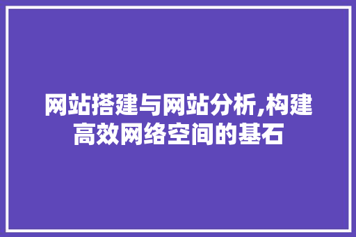 网站搭建与网站分析,构建高效网络空间的基石 搜狗SEO 网站搭建与网站分析,构建高效网络空间的基石 网站搭建与网站分析,构建高效网络空间的基石 搜狗SEO