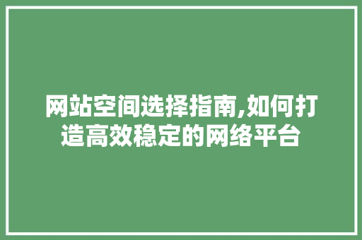 网站空间选择指南,如何打造高效稳定的网络平台 网站空间选择指南,如何打造高效稳定的网络平台 SEO关键词
