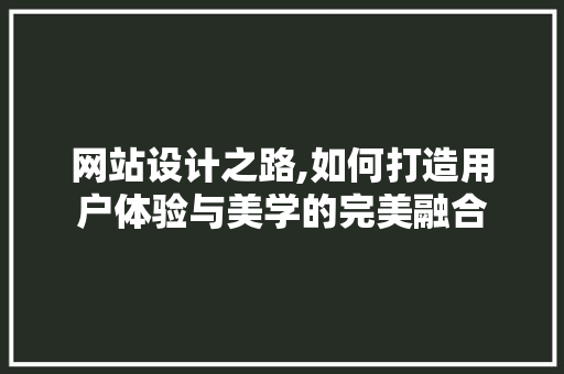 网站设计之路,如何打造用户体验与美学的完美融合 网站设计之路,如何打造用户体验与美学的完美融合 必应SEO
