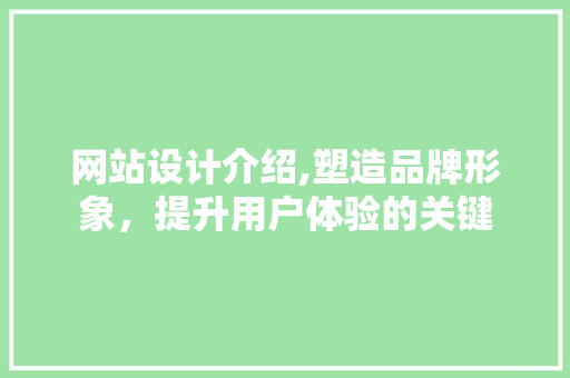 网站设计介绍,塑造品牌形象，提升用户体验的关键 网站设计介绍,塑造品牌形象，提升用户体验的关键 必应SEO