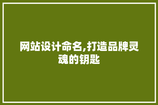 网站设计命名,打造品牌灵魂的钥匙 网站设计命名,打造品牌灵魂的钥匙 SEO关键词