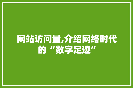 网站访问量,介绍网络时代的“数字足迹” 网站访问量,介绍网络时代的“数字足迹” 网站建设公司