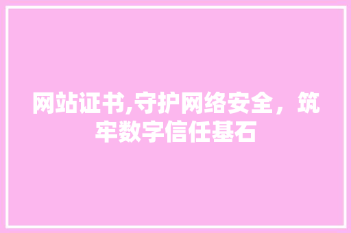 网站证书,守护网络安全，筑牢数字信任基石 网站证书,守护网络安全，筑牢数字信任基石 网站建设公司