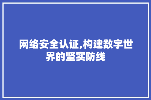 网络安全认证,构建数字世界的坚实防线 网络安全认证,构建数字世界的坚实防线 神马SEO