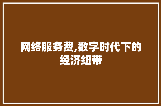 网络服务费,数字时代下的经济纽带 网络服务费,数字时代下的经济纽带 必应SEO