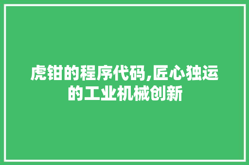 虎钳的程序代码,匠心独运的工业机械创新