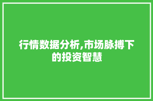 行情数据分析,市场脉搏下的投资智慧 行情数据分析,市场脉搏下的投资智慧 百度SEO